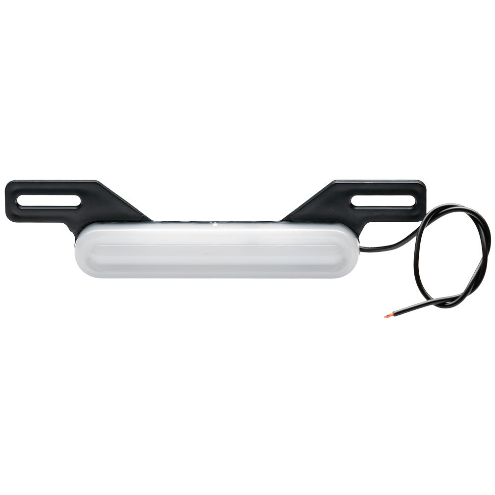 Luz de Placa LED AKT NKD 125