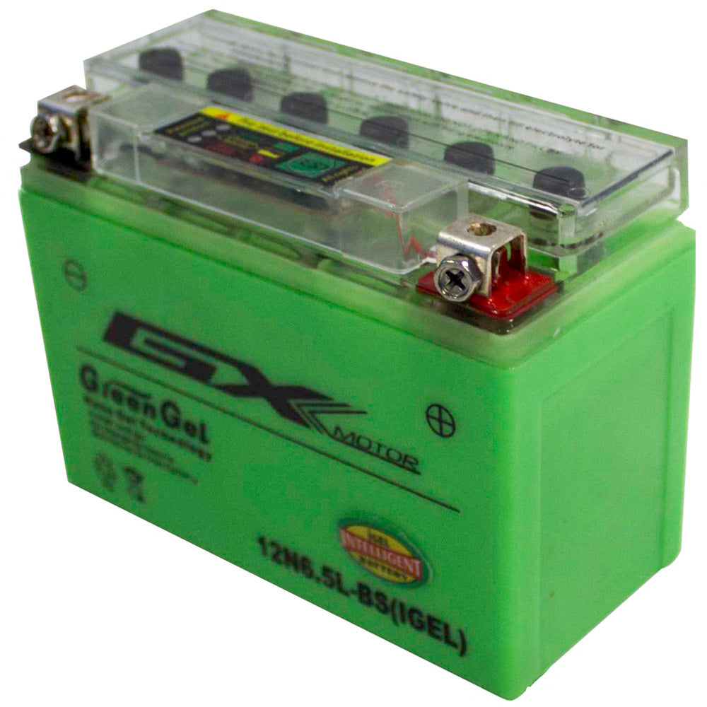 Batería en gel 12N6.5L-BS GX Motor