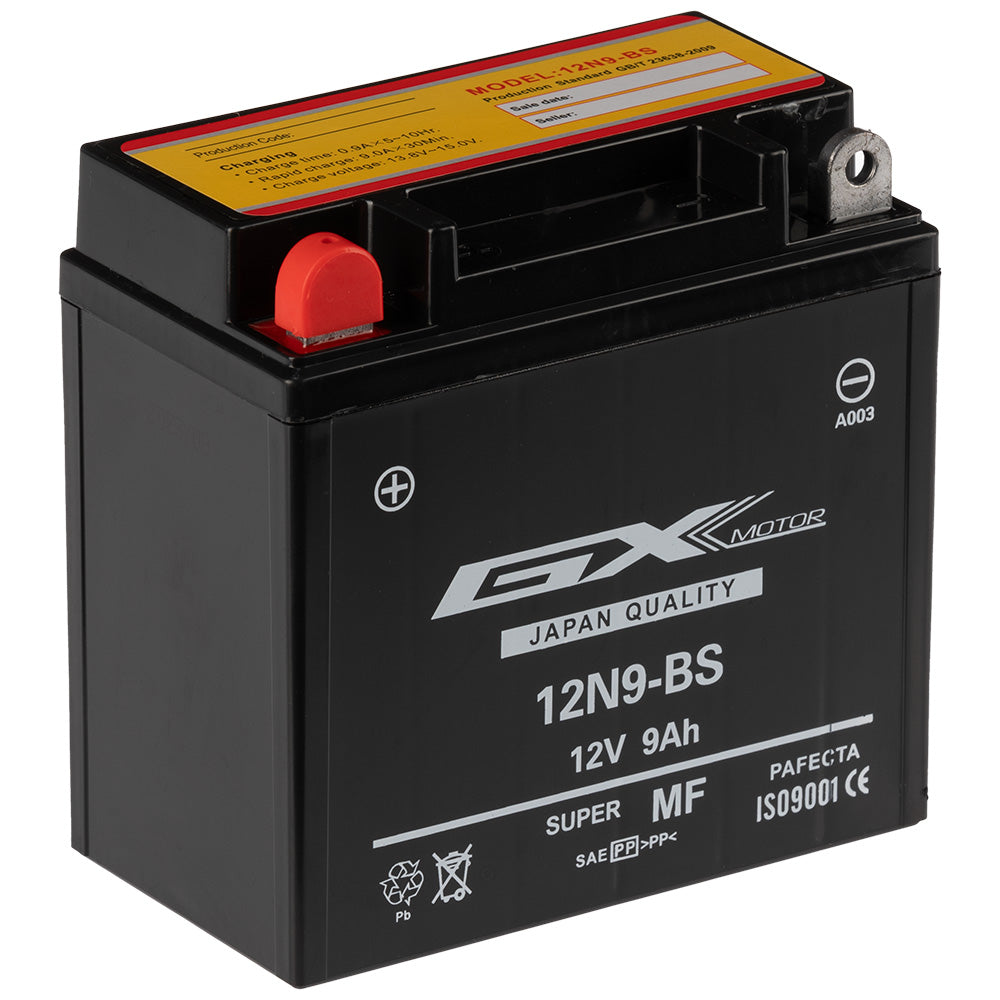 Batería 12N9-BS GX Motor