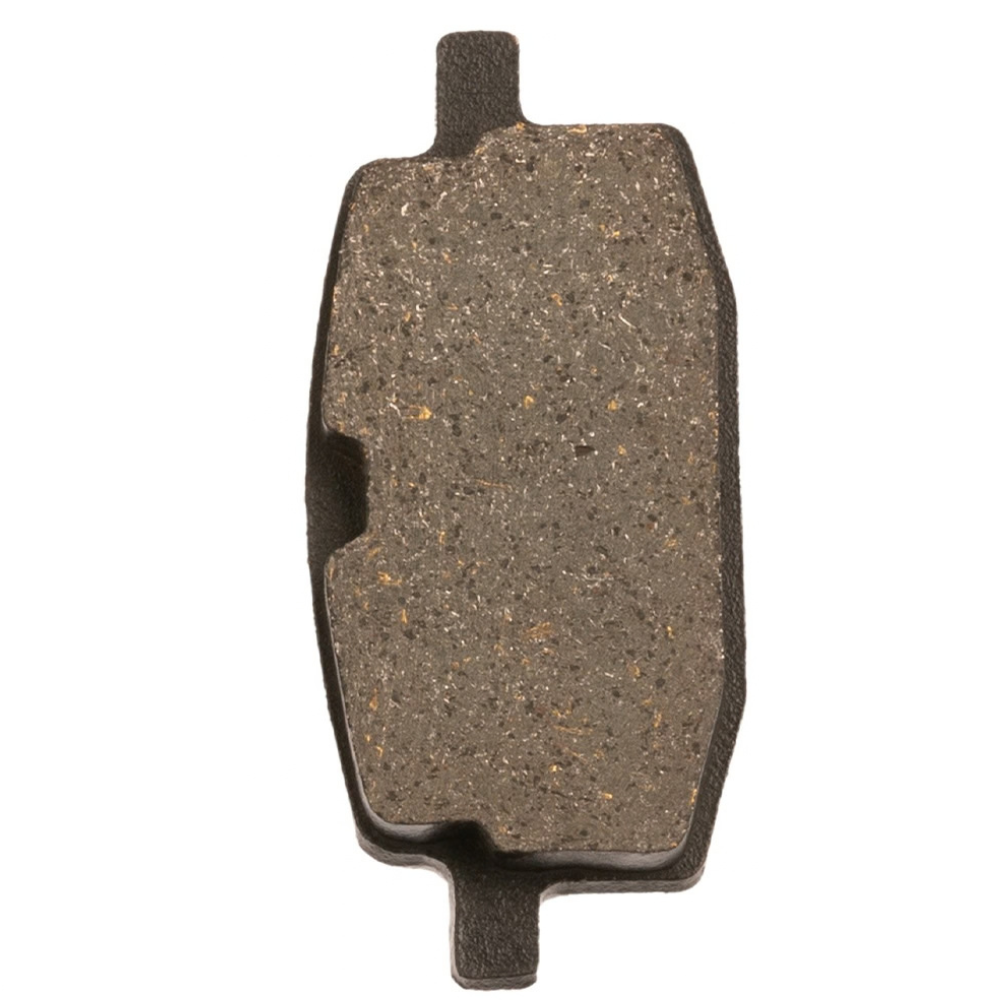 Pastillas de freno Delantera BWS 100 2t-Axis Everestt
