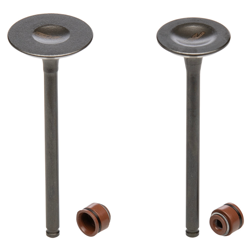 Válvula de admisión/escape Boxer CT 100 KS GX Motor
