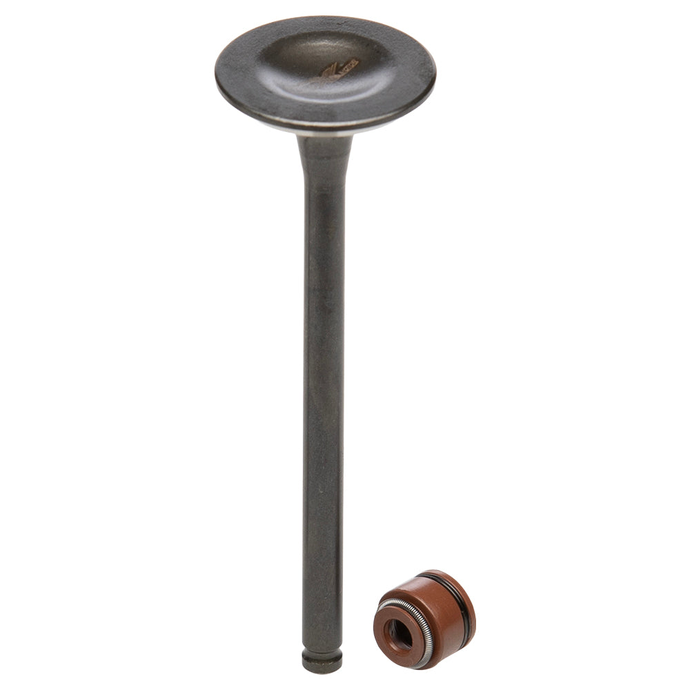 Válvula de admisión/escape Boxer CT 100 KS GX Motor