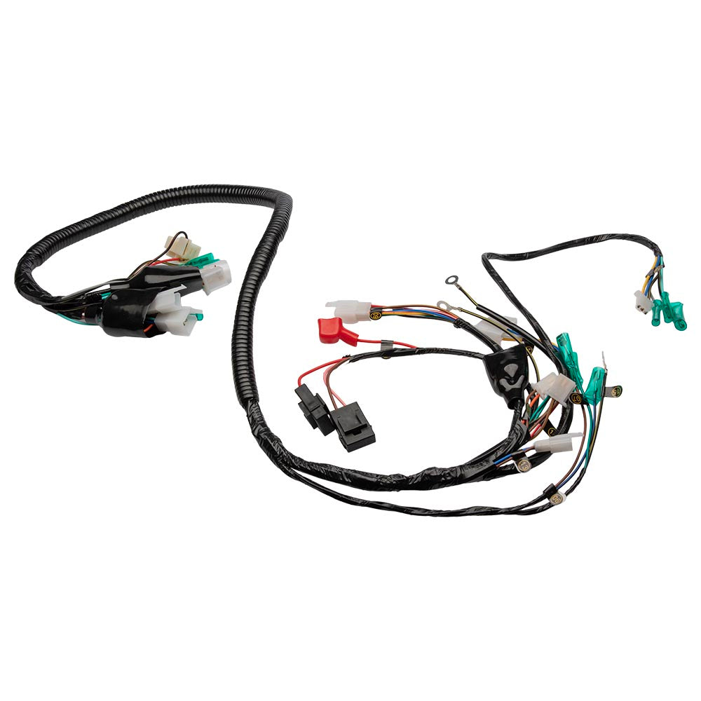 Instalación eléctrica Boxer CT 100 KS GX Motor