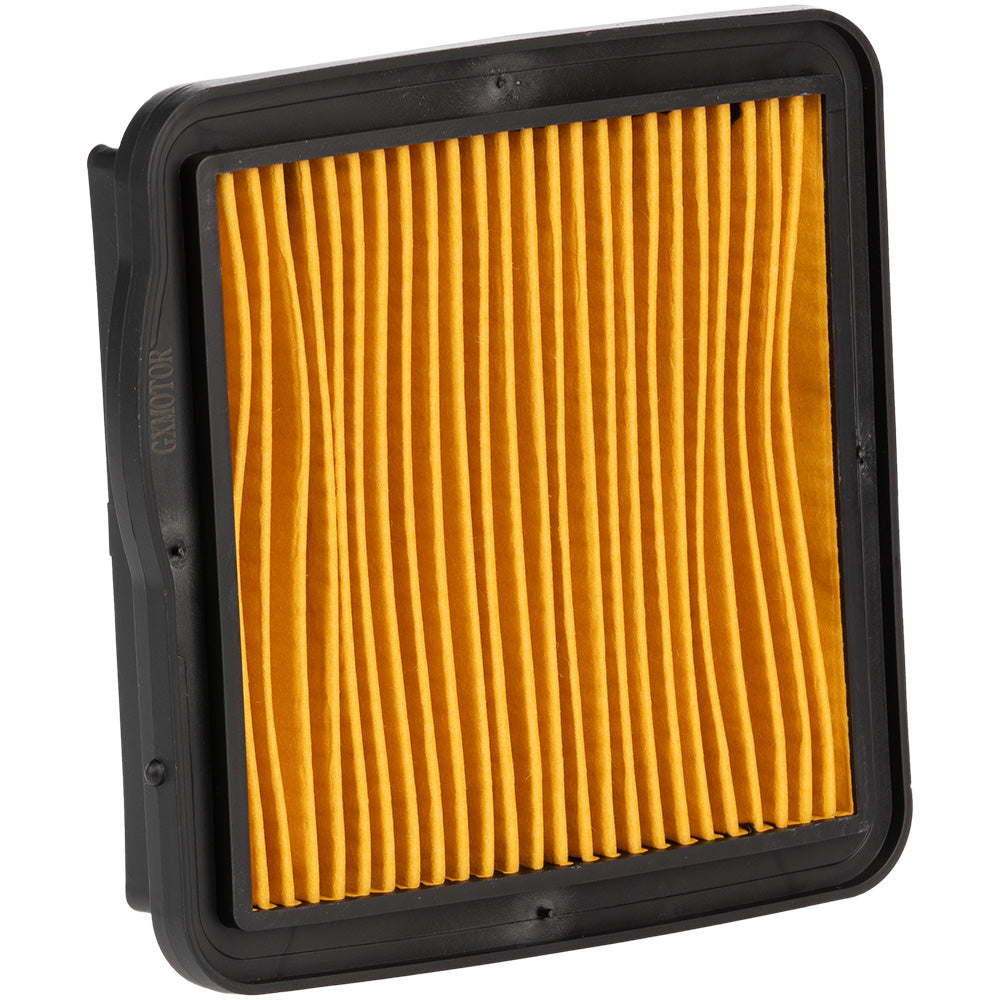 Filtro de aire completo CBF 125 GX Motor