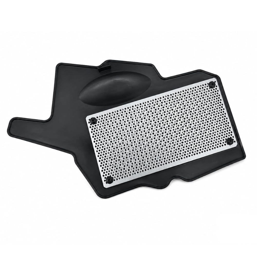Filtro de aire Raider 125 GX Motor