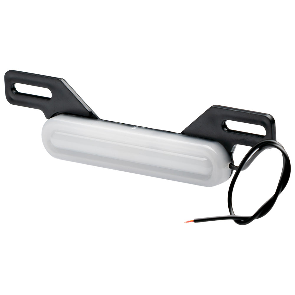 Luz de Placa LED AKT NKD 125